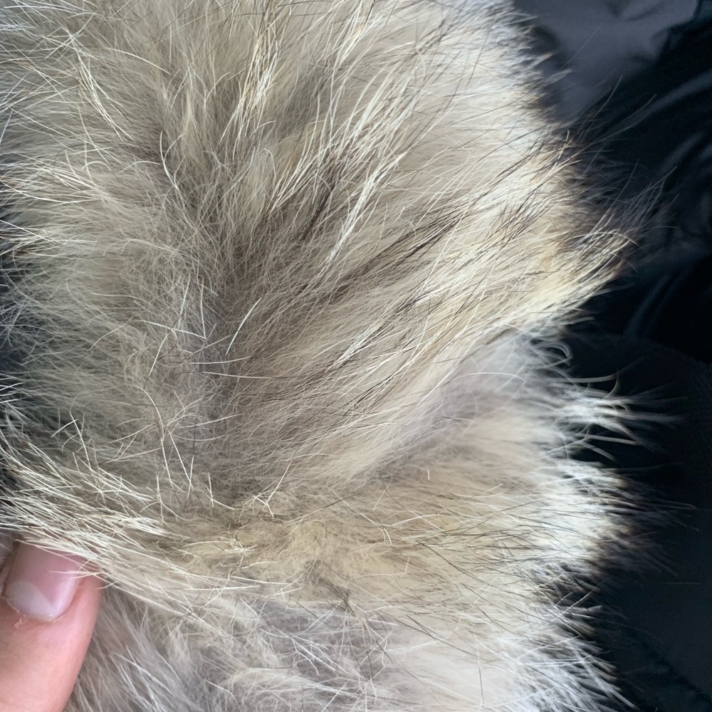 Women’s M CANADA GOOSE - Picture 7 of 7